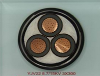 6-35 kV交聯(lián)聚乙烯絕緣電力電纜